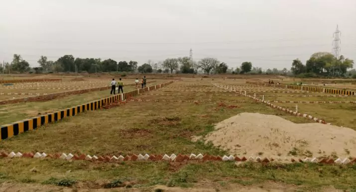 Plot Layout