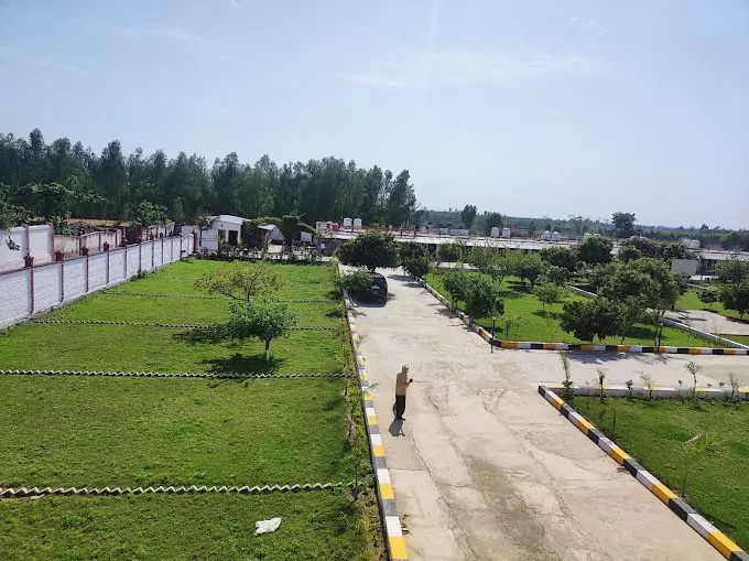 Road Development