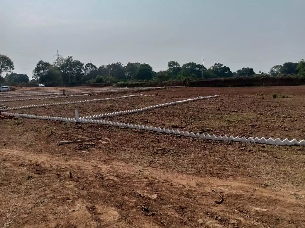 West Park Amenities