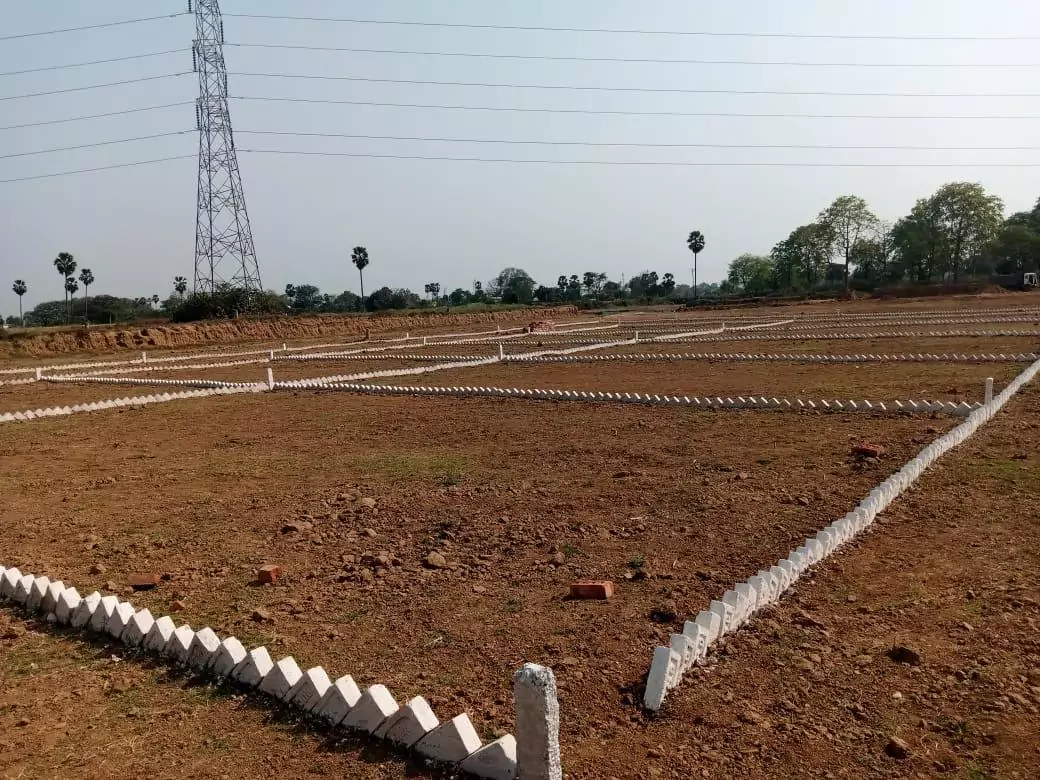 West Park Amenities