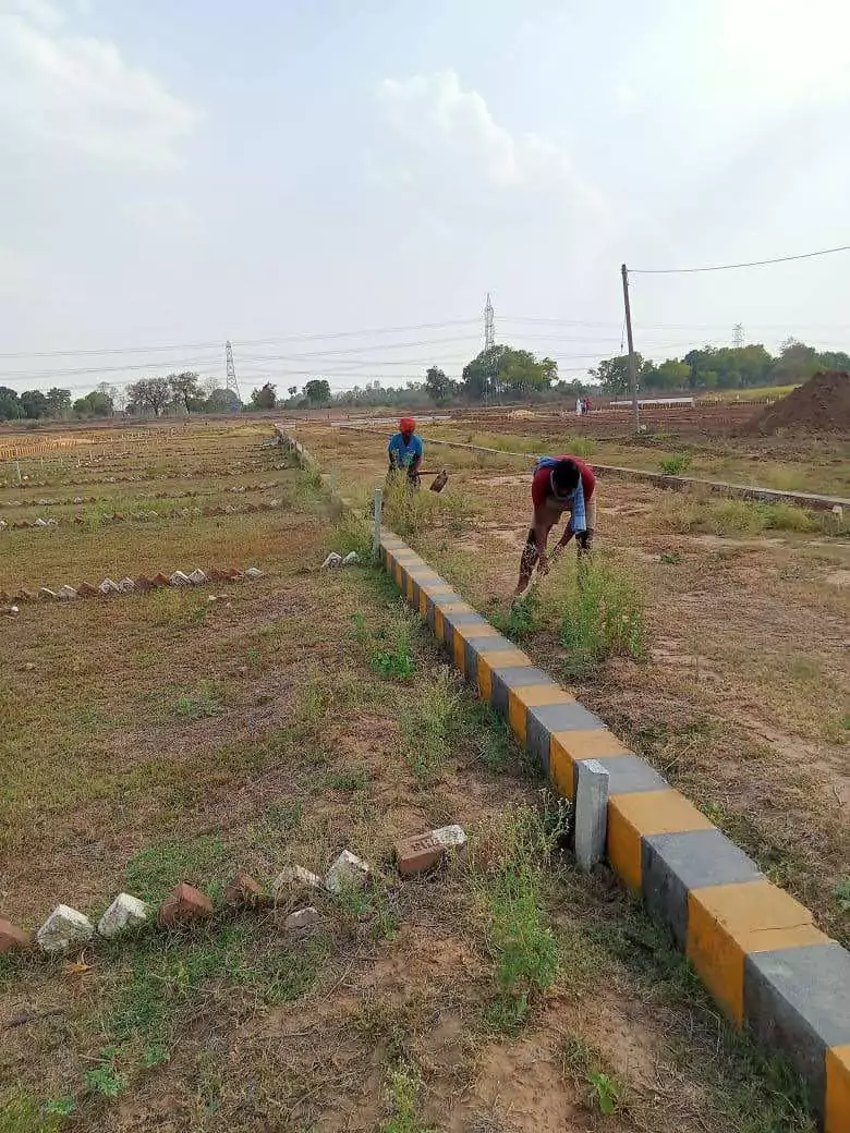 West Park Amenities