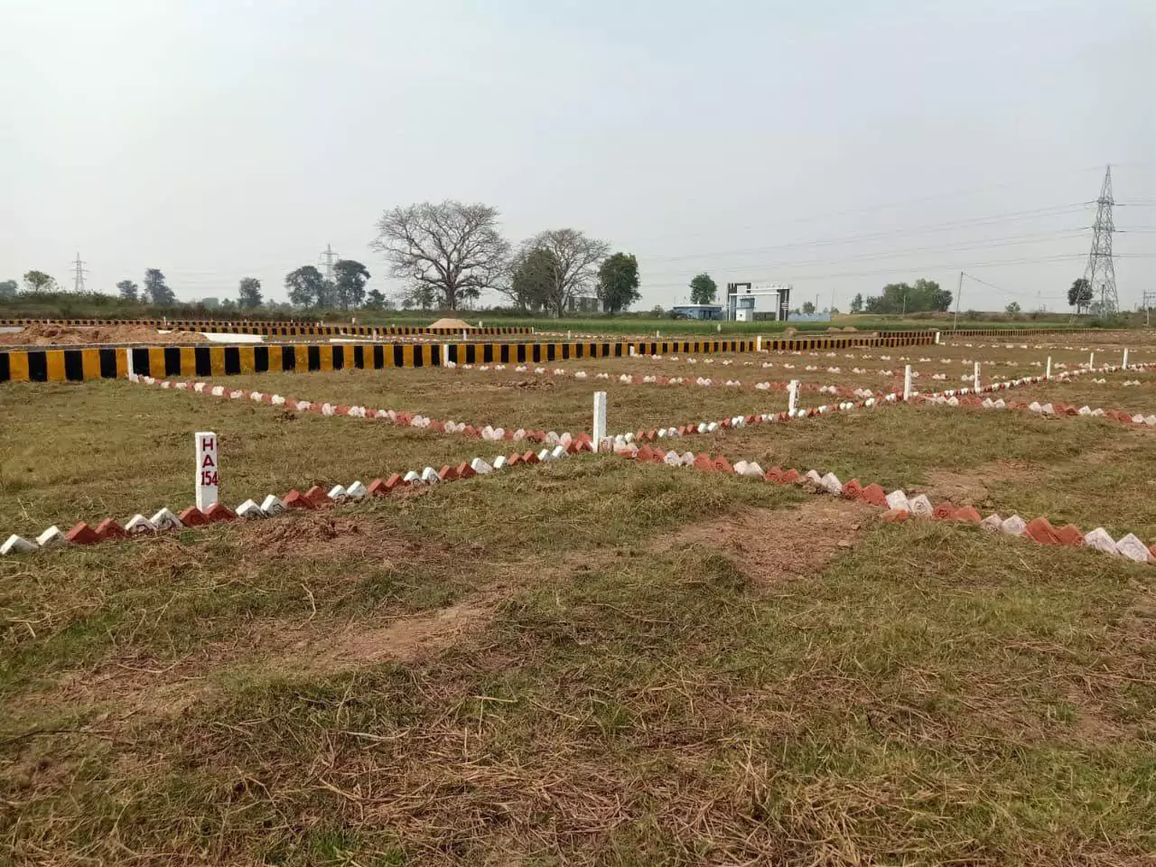 Road Development