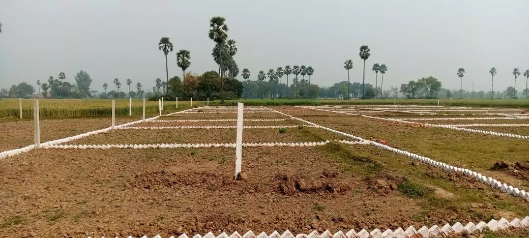 West Park Amenities