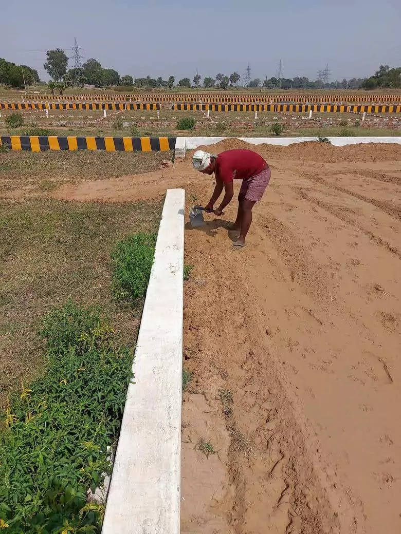West Park Amenities